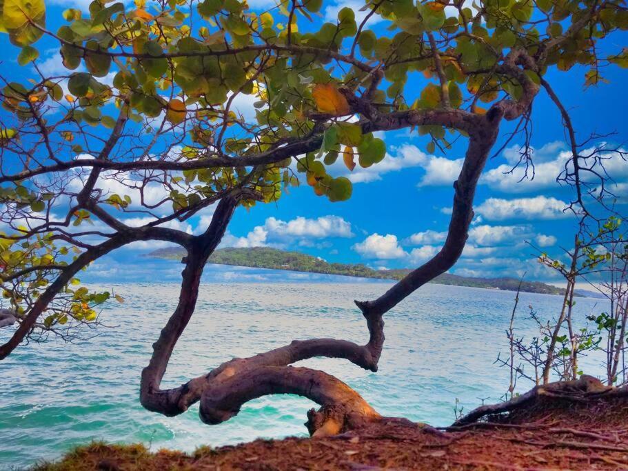Villa Poetry Garden Bocas Town Colon Island Esterno foto